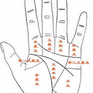 图解教学：了解手相、掌相和掌纹的指南