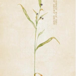 《本草纲目》全本擦图版