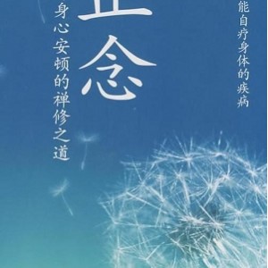 一行禅师文集：禅师的智慧言辞正念的奇迹：探索正念的神奇力量故道白云：白云禅师的故事与教诲佛陀之心：感悟佛陀的智慧与慈悲之心